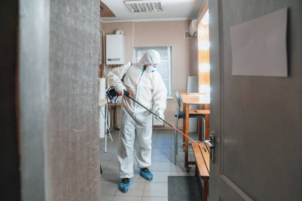 Forensic Mold Investigation in Verona, PA